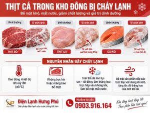 Thịt cá trong kho đông bị cháy lạnh, đổi màu xám nâu? Tìm hiểu nguyên nhân dao động nhiệt độ và cách phòng ngừa đúng chuẩn từ Điện Lạnh Hưng Phú.